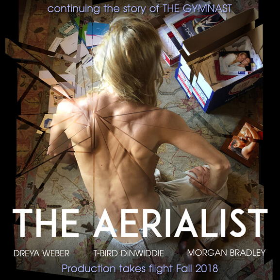 The Aerialist